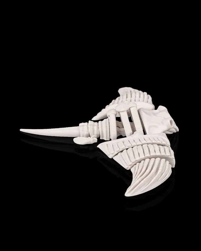 Skeleton Manta Ray