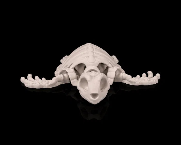 Skeleton Turtle
