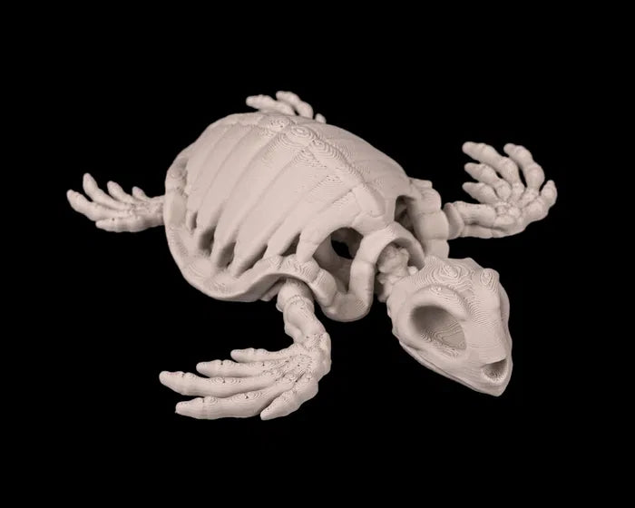 Skeleton Turtle