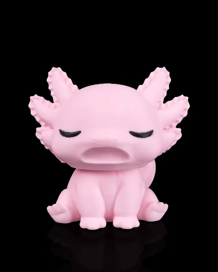 Sleepy Axolotl