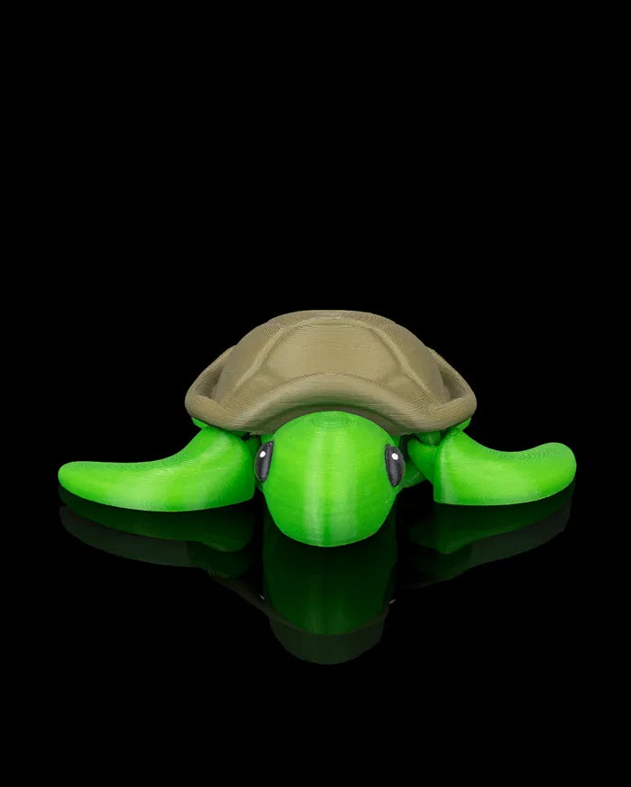 Slow Turtle