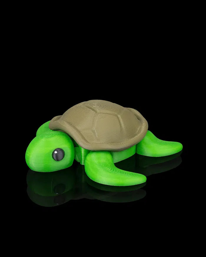 Slow Turtle