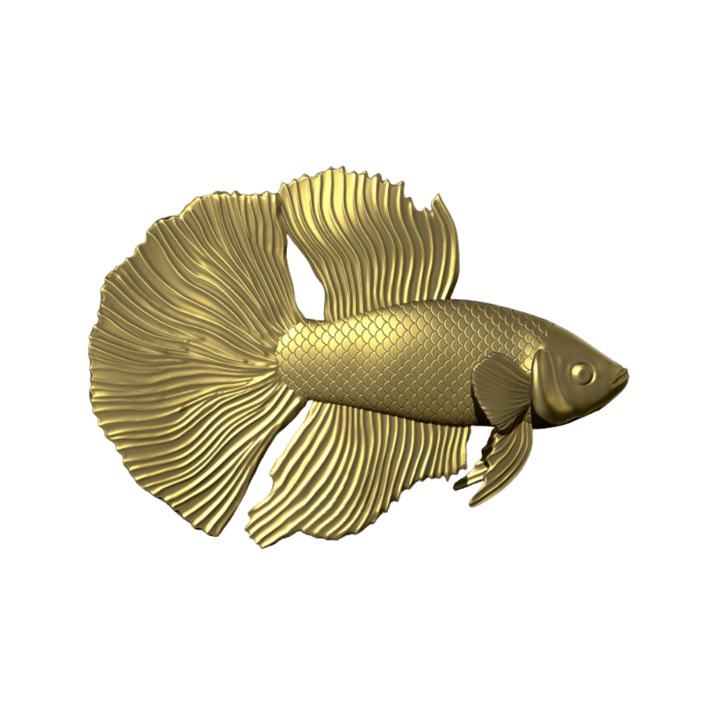 Betta Fish v2.0