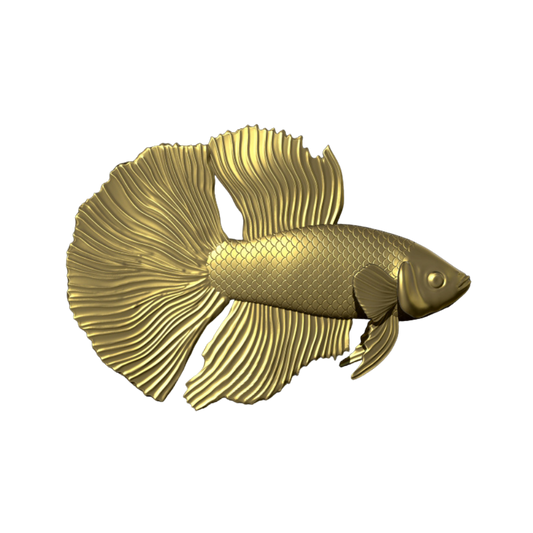 Betta Fish v2.0