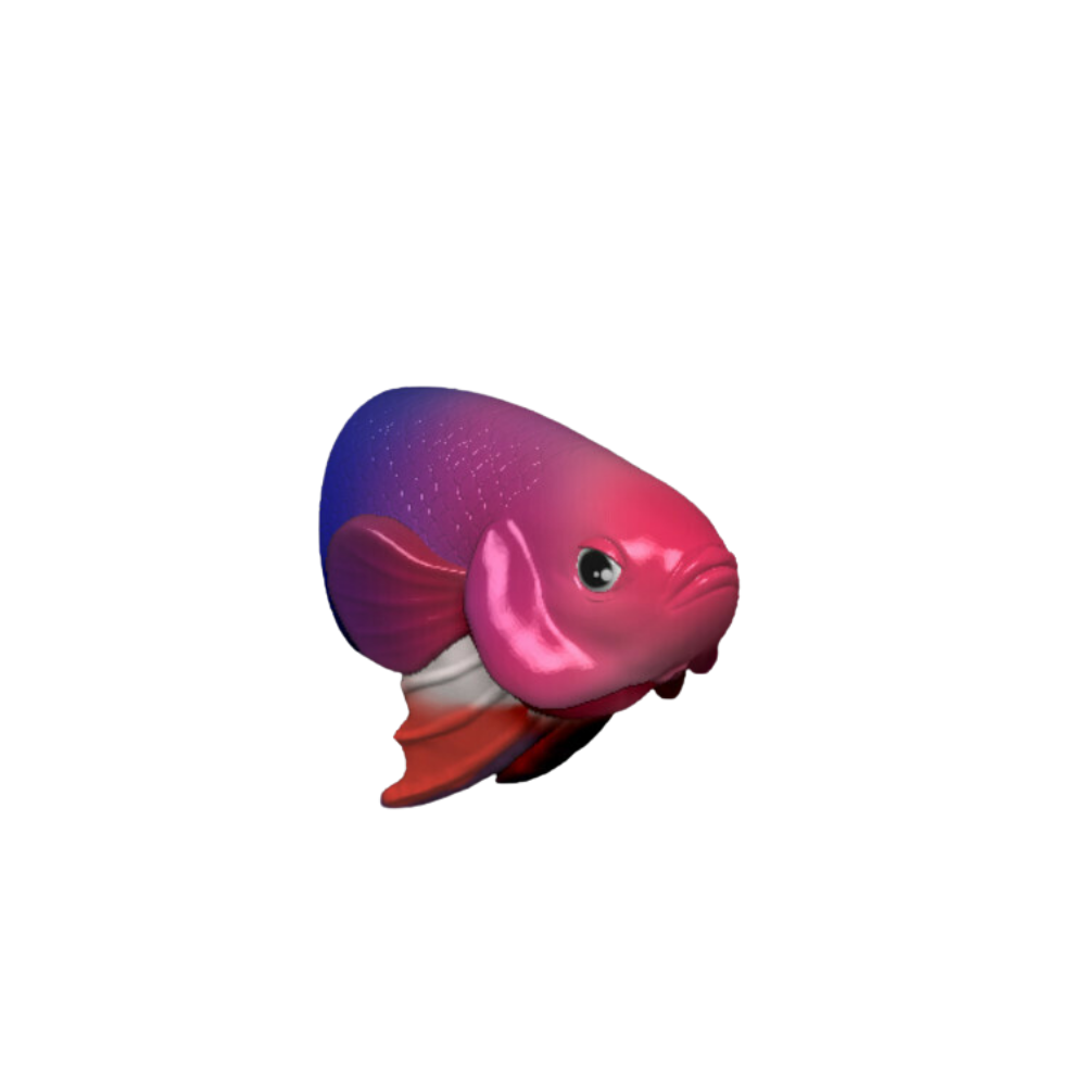 Betta Fish Head