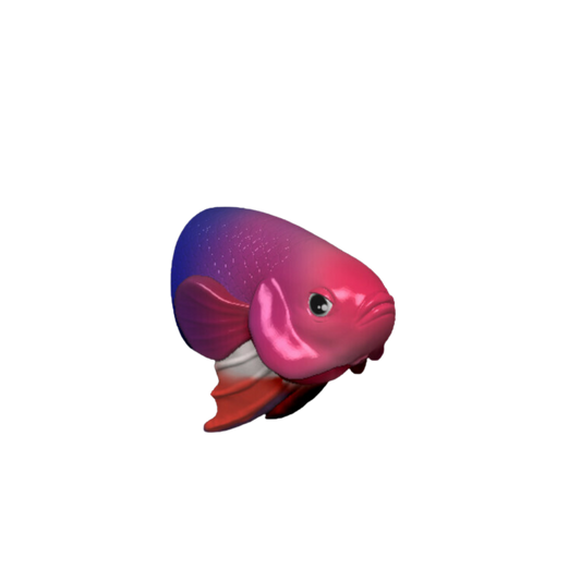 Betta Fish Head