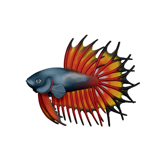 Betta Fish Crowntail