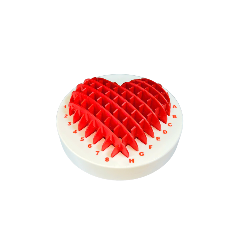 Heart Morf Worm Fidget Toy Puzzle
