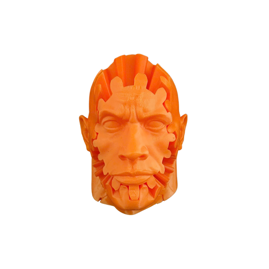 The Rock Gear Fidget Toy