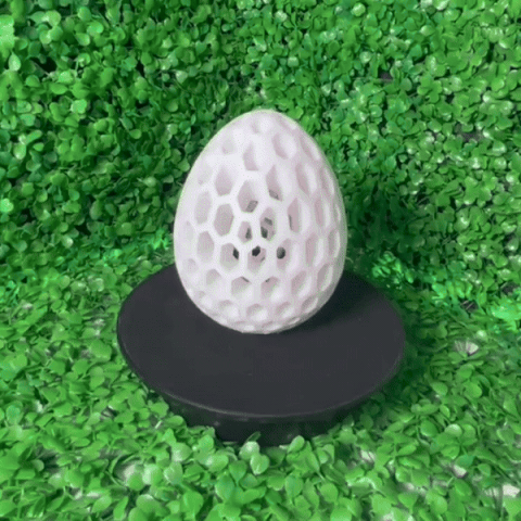 Airless Egg