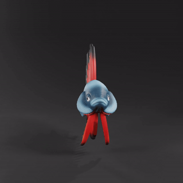 Betta Fish Crowntail