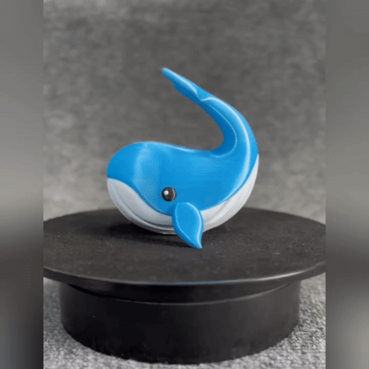 Cute Blue Whale