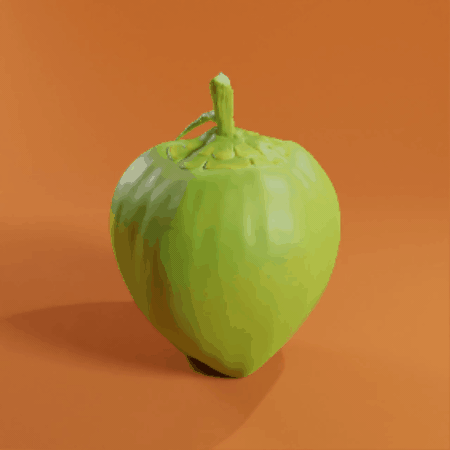 Coconut Full Size High Detail