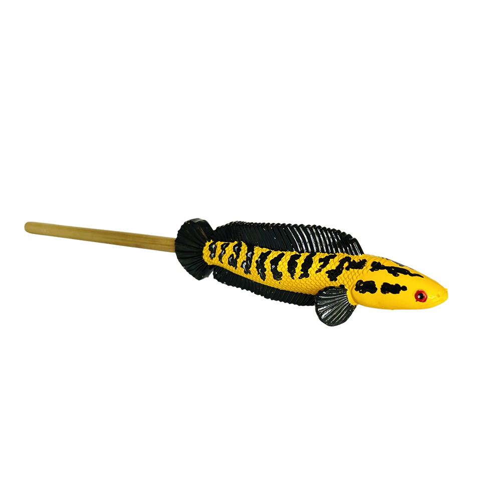 Channa Barca Fish Snake Head Fish w/ Chopsticks