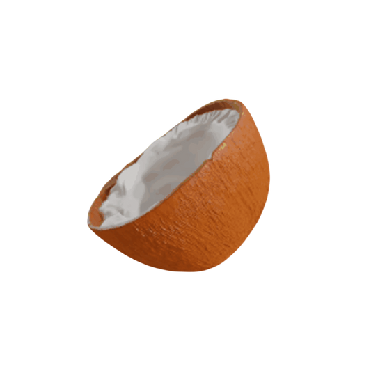 Brown Coconut Half-Open High Detail