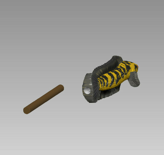 Channa Barca Fish Snake Head Fish w/ Chopsticks