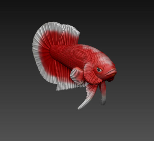 Betta Fish v3.0