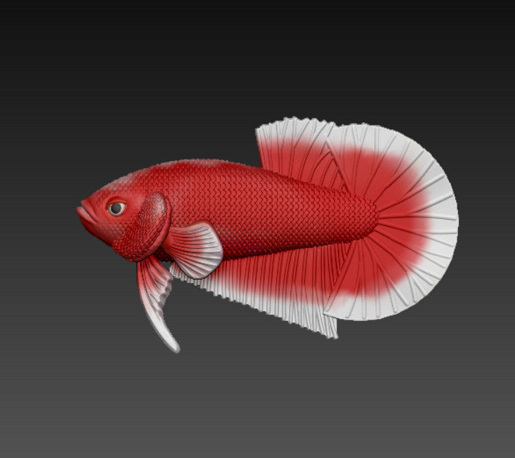 Betta Fish v3.0
