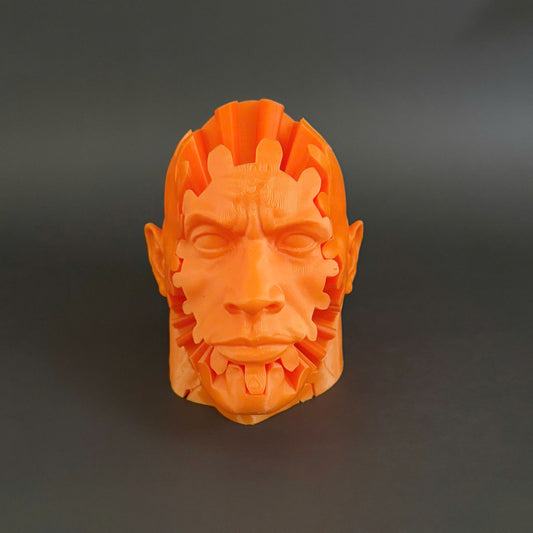 The Rock Gear Fidget Toy